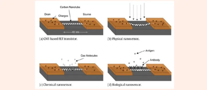 Figure 2: Types of nanosensors [36].