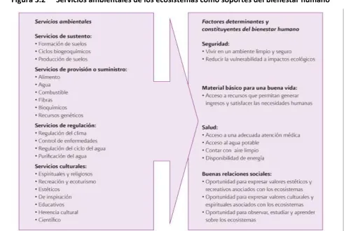 Figura 3.2 