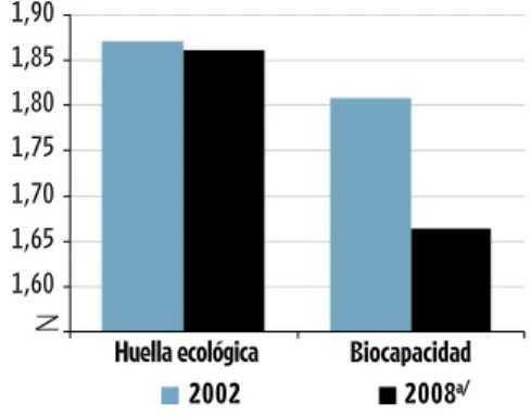 GRÁFICO 14