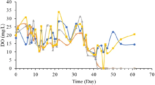 Figure 3. Time course of DO concentrations in pre-culture and the experiment. 