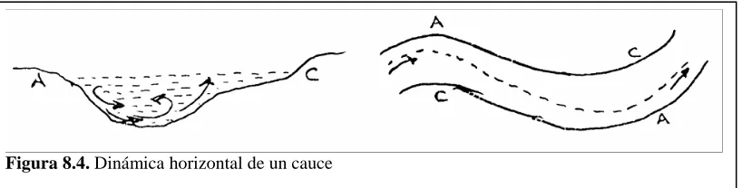 Figura 8.4. Dinámica horizontal de un cauce  