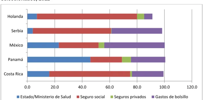 Gráfico 11 