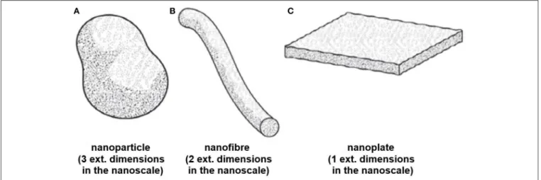 FIGURE 1 | Schematic diagrams displaying shape designations for nano-objects (A) Nanoparticle, (B) Nanofiber (C) Nanoplate ©ISO