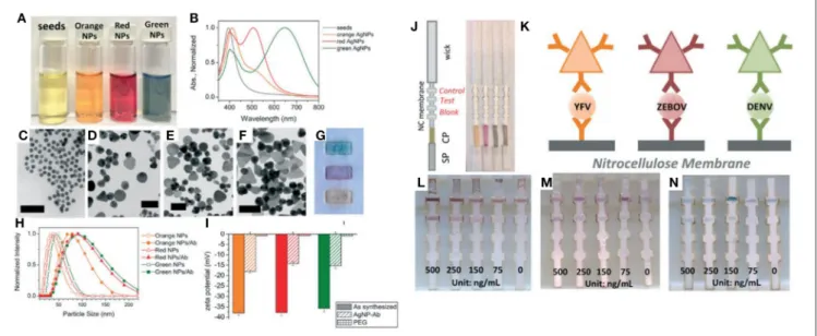 FIGURE 5 | An example of the use of AgNPs for multiplexed detection. (A) Vials of AgNPs during stepwise growth and (B) their corresponding absorption spectra