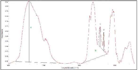 Figura  5.  Espectro  infrarrojo  de  CMQ  donde  se  muestran  las  líneas  bases  para  la  determinación  del  grado  de  acetilación y sustitución