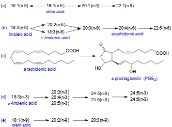 Figure 2.1.   Biosynthetic relationships between unsaturated fatty acids. (a) Elongation and retroconversion of acid; (d) elongation and desaturation of oleic acid; (b) elongation and desaturation of linoleic acid; (c) biosynthesis of prostaglandin E2 from