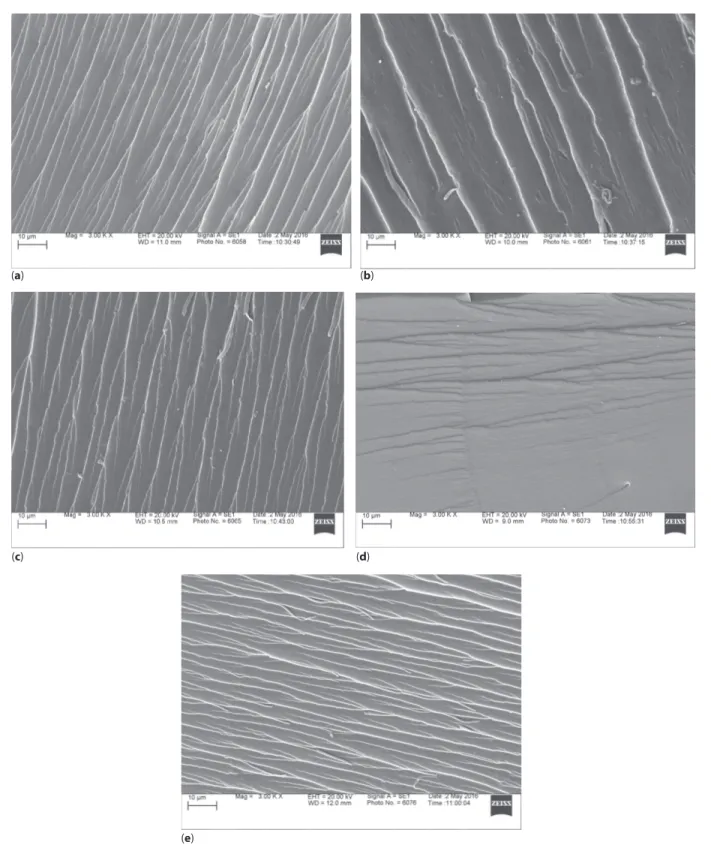 Figure 1  SEM micrographs of the fracture surface of 100 wt% epoxidized α-resorcylic acid (a); IPN 75 wt% epoxy–25 wt% acrylate  (b); IPN 50 wt% epoxy–50 wt% acrylate (c); IPN 25 wt% epoxy–75 wt% acrylate (d); and 100 wt% acrylated soybean oil (e).