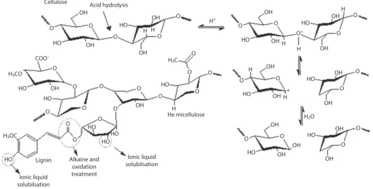Figure 3a shows a microfiber-like particule with  approximately 200 µm length and 16 µm diameter  after the hydrolysis with HCl