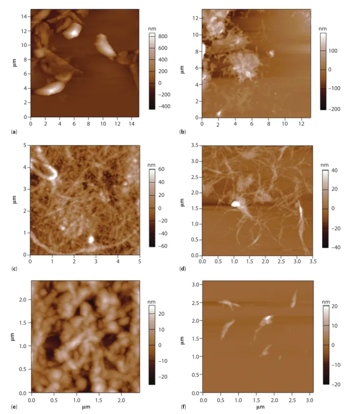 Figure 4  AFM images of the product obtained after hydrolysis of the microcellulose with H 2 SO 4 : (a, b) 0 min (microcellulose),  (c, d) 60 min, and (e, f) 75 min.