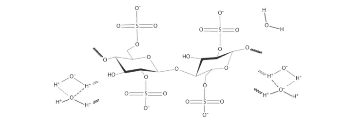 Figure 9  Dried cellulose and nanocellulose samples.