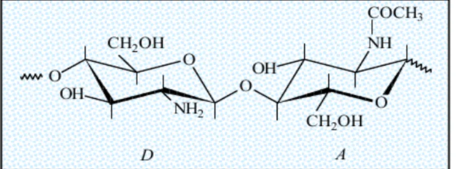 Figure 1. Repeating chitosan units 