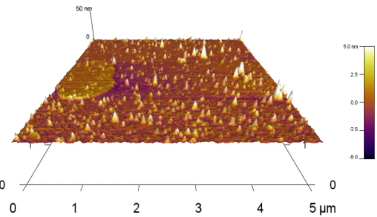 Fig. 2:  3D image of silver nanoparticles observed by atomic  force microscopy. Particles of different sizes were observed in  the AFM analysis.