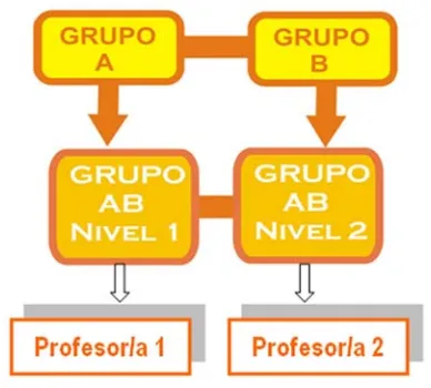 Figura 3.- Vínculo entre dos grupos/tres niveles y profesorado. 