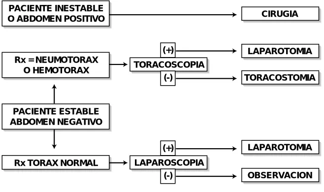 Figura 9.Protocolo de manejo para herida en el área toracoabdominal.
