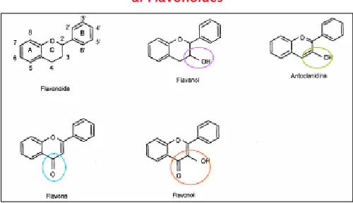 Figura 1. Moléculas con actividad antioxidantea. Flavonoides