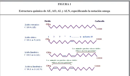 FIGURA 1
