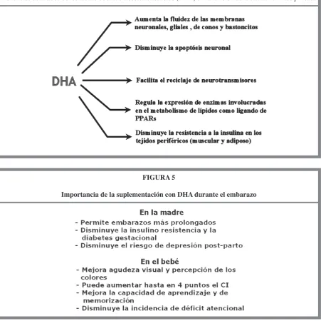 FIGURA 5