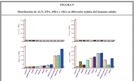 FIGURA 9