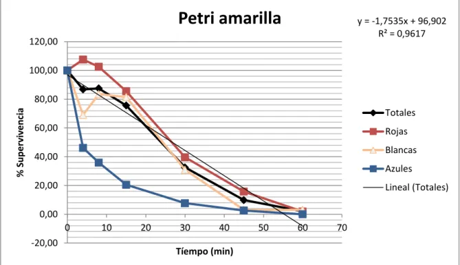 Figura 55. Porcentaje de supervivencia en agar amarillo, respecto al tiempo de desinfección