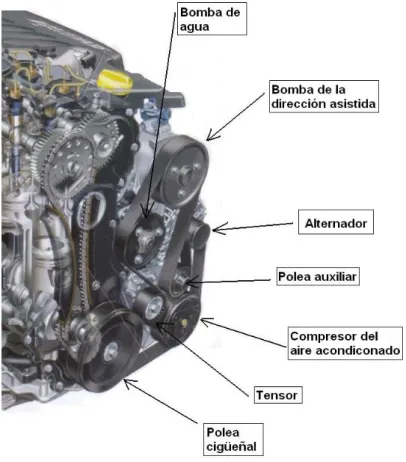 Fig. 1.2 Correa de accesorios y elementos que mueve 