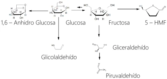 Figura  8.  Mecanismos  de  reacción  de  la  glucosa  y  la  fructosa  en  medio  hidrotermal  [34]