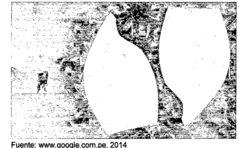 FIGURA No  e.1 