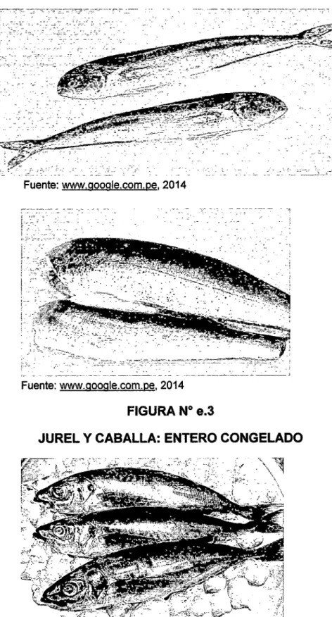 FIGURA No  e.2 