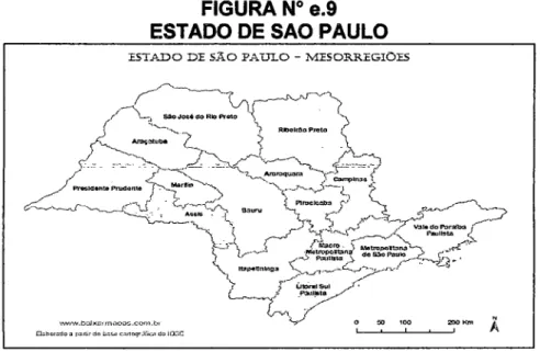 FIGURA No  e.9  ESTADO DE SAO PAULO 