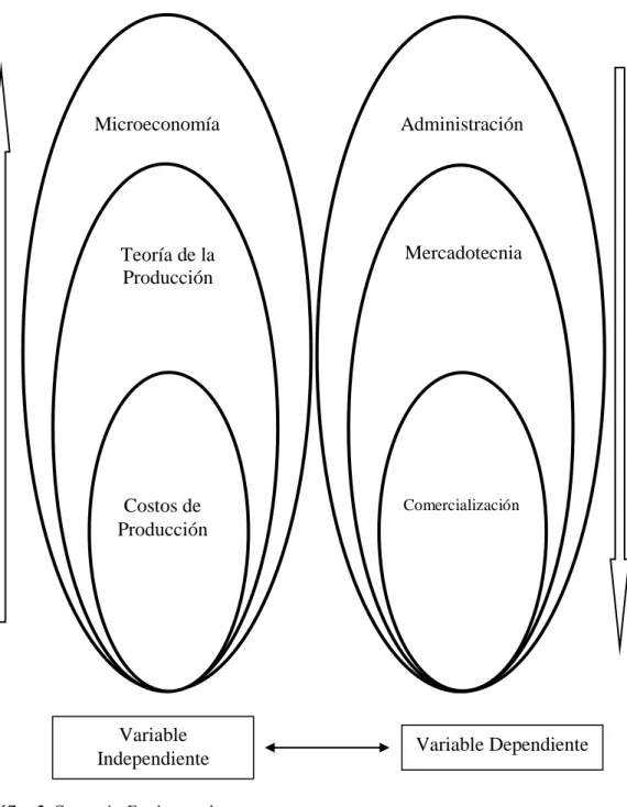 Gráfico 3. Categorías Fundamentales   Elaborado por: Chauca, C. (2015)
