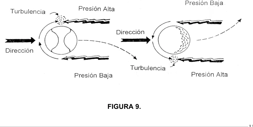 FIGURA 8. 