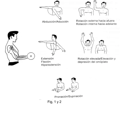 Fig, 1 y 2 