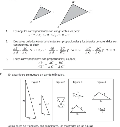 Figura 1