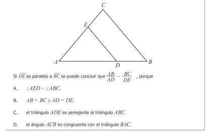 FIGURA 1
