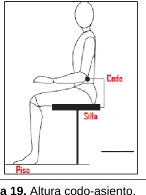 Figura 19. Altura codo-asiento.  