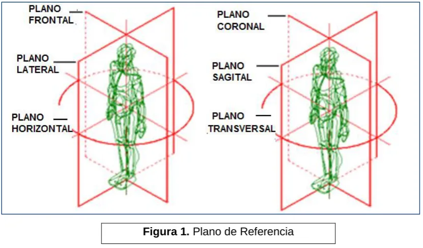 Figura 1. Plano de Referencia 