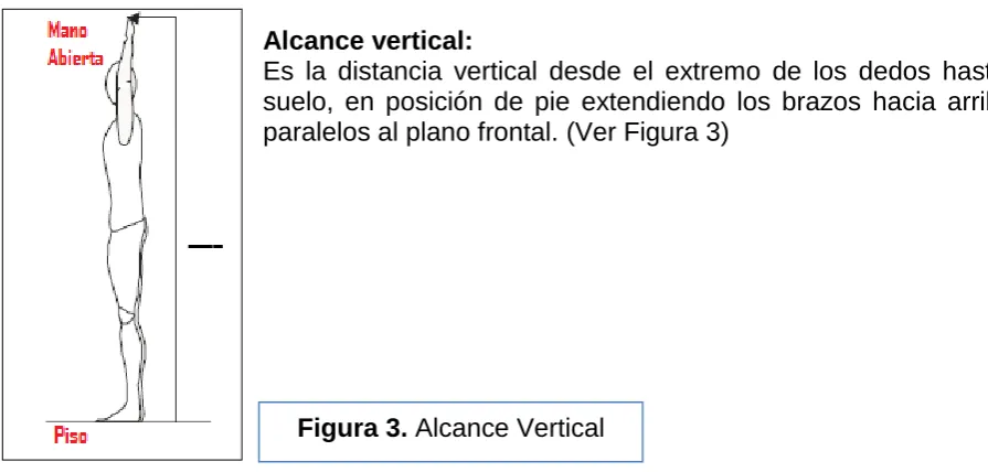 Figura 3. Alcance Vertical 