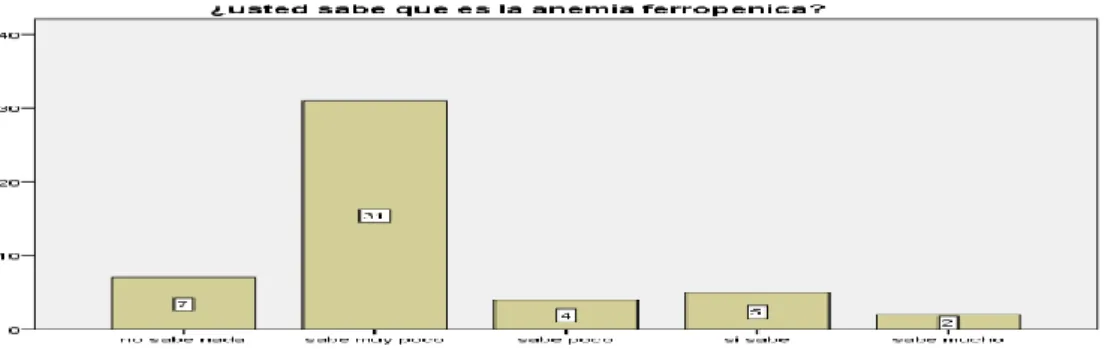 TABLA 11   CONOCIMIENTO  SOBRE  LOS  FACTORES  DE  RIESGO  DE LA  ANEMIA FERROPÉNICA. 