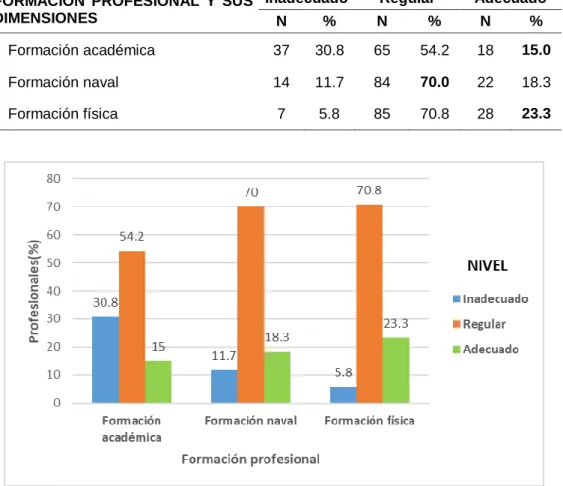 Figura  2.  Dimensiones  Formación  Profesional  del  Instituto  de  Educación  Superior Tecnológico Público Naval – CITEN, 2017 
