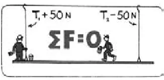 FIGURA 2.5