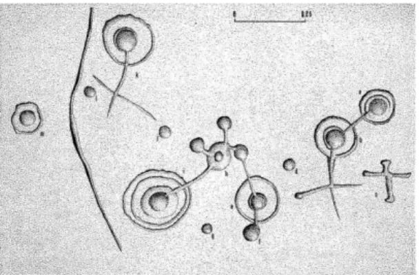 Figura 2: circulo-cazoleta y líneas rectas.    