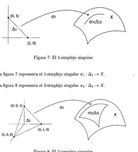 Figura 7: El 1-simplejo singular. 