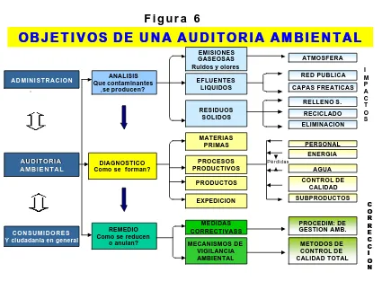 Figura 6