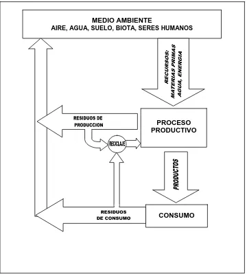 FIGURA 1.1:  CICLO PRODUCTIVO 