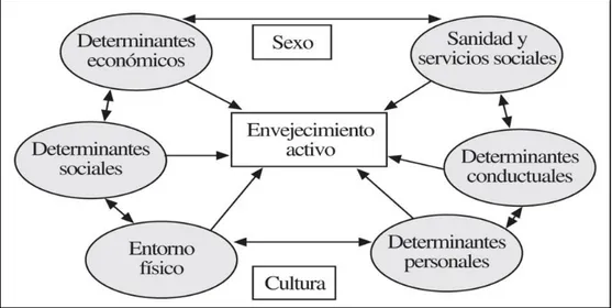 Figura 3: Determinantes del envejecimiento activo (Fernández-Ballesteros y cols, 2005) 