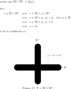 Figura 13: V = W ⊕ W⊥