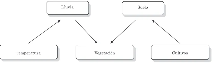 Figura 3