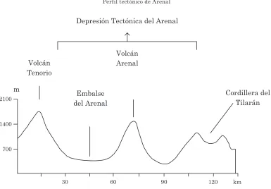 Figura 9