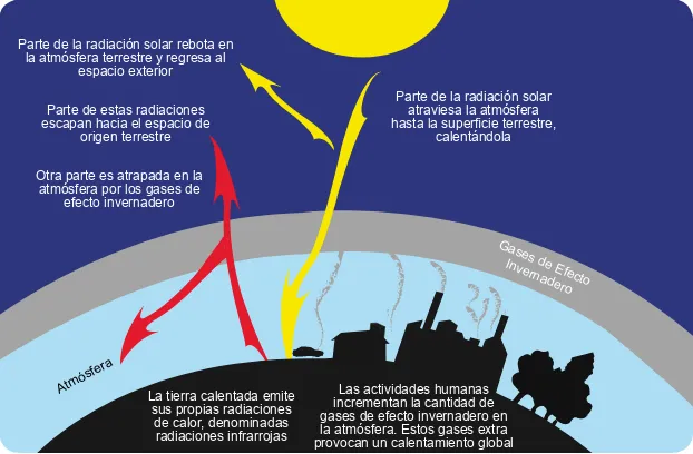 Figura 2: Gráfico de la variación de la temperatura global (rojo) y de la concen-tración de dióxido de carbono (azul) presente en el aire en los últimos 1000 años.Fuente: Mann y otros (1998).