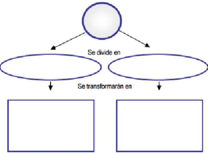 Gráfico 6: Estructura del Mapa Conceptual 
