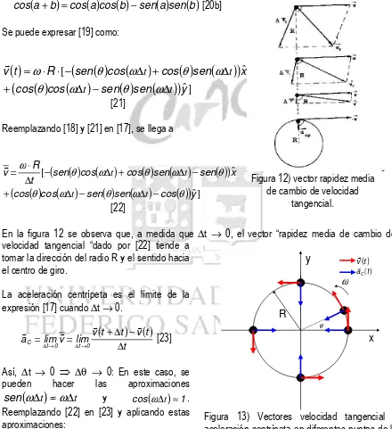 Figura 13) Vectores velocidad tangencial y  aceleración centrípeta en diferentes puntos de la trayectoria circunferencial